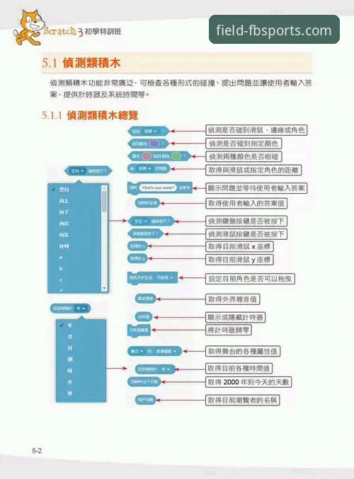 FB体育平台登录流程与安全机制深度解析：从入口到账户的全方位指南